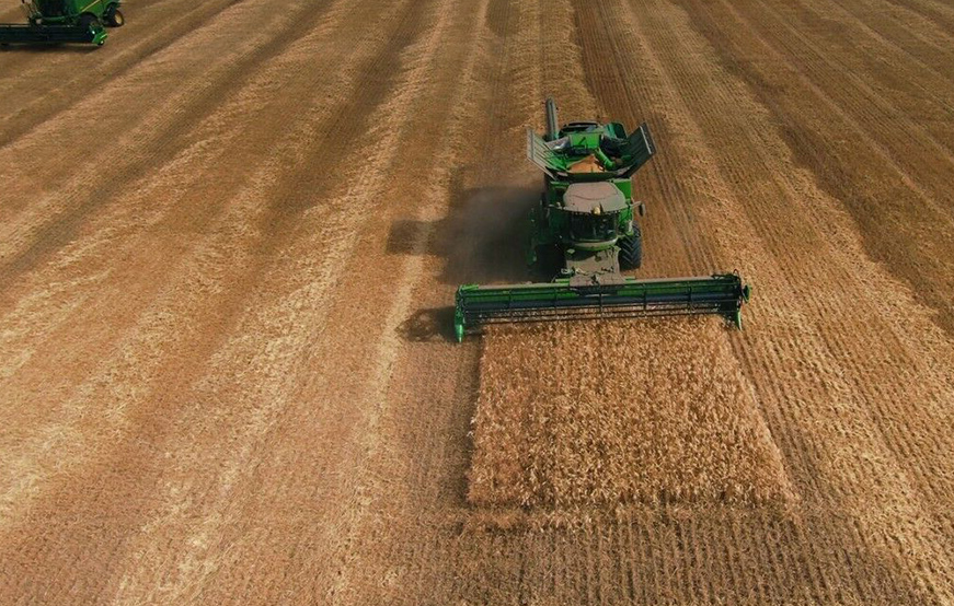 КХ «Беркут»